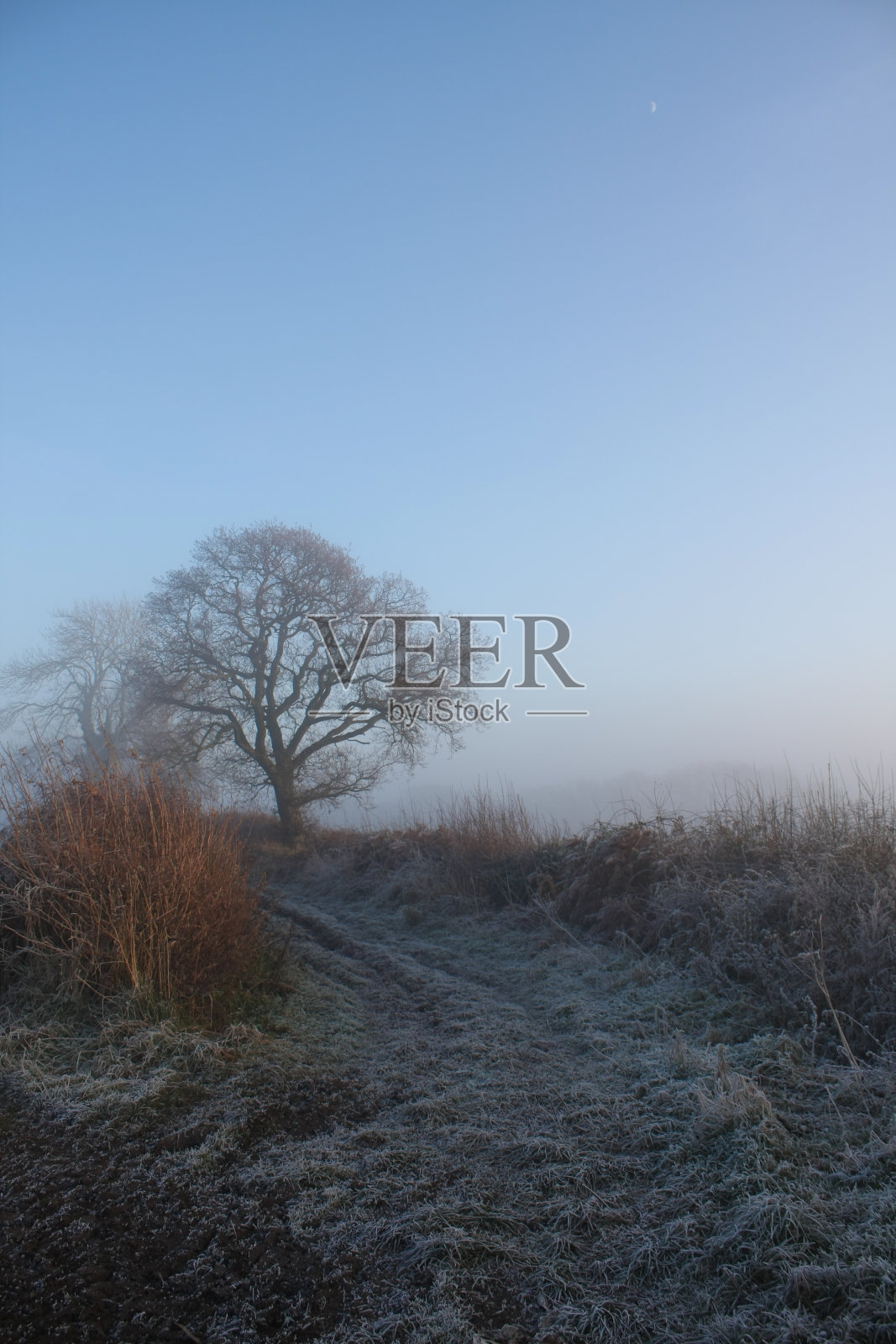 冷淡的县的场景照片摄影图片