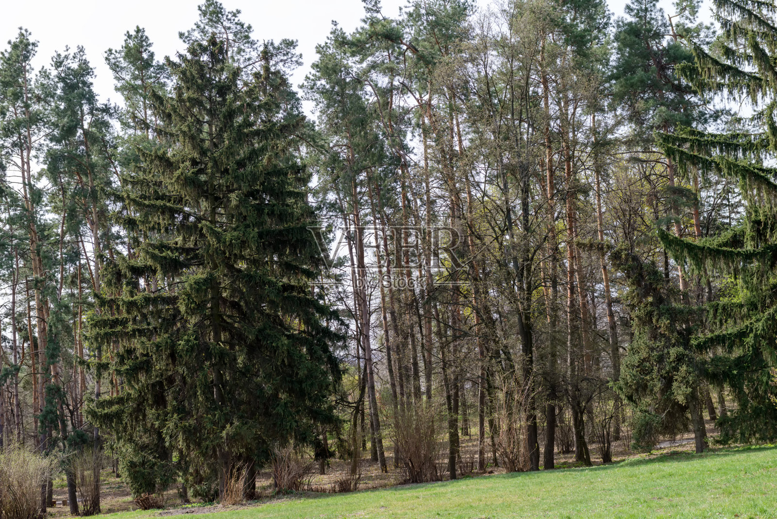 春天的风景照片摄影图片