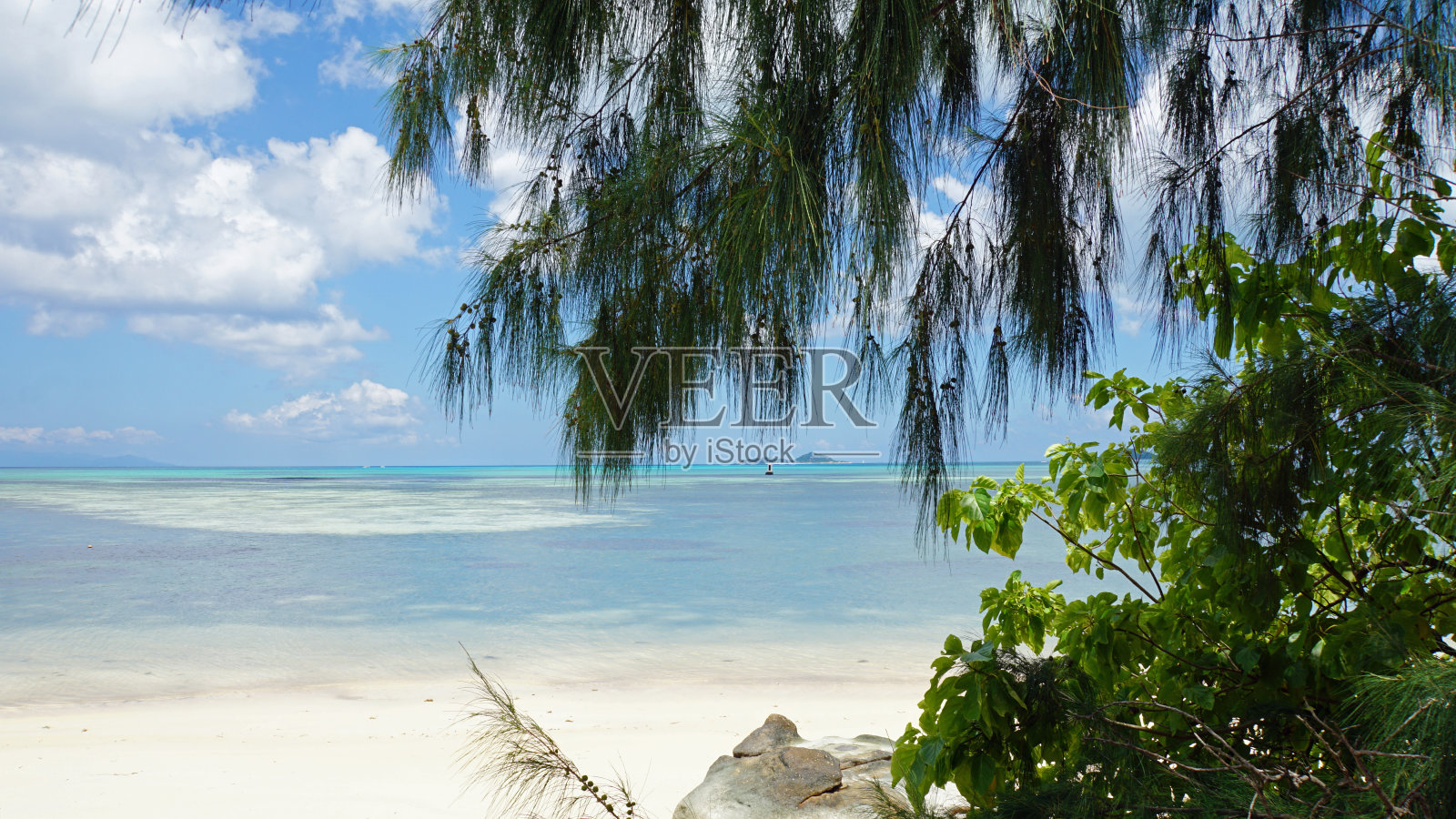 安西citron照片摄影图片