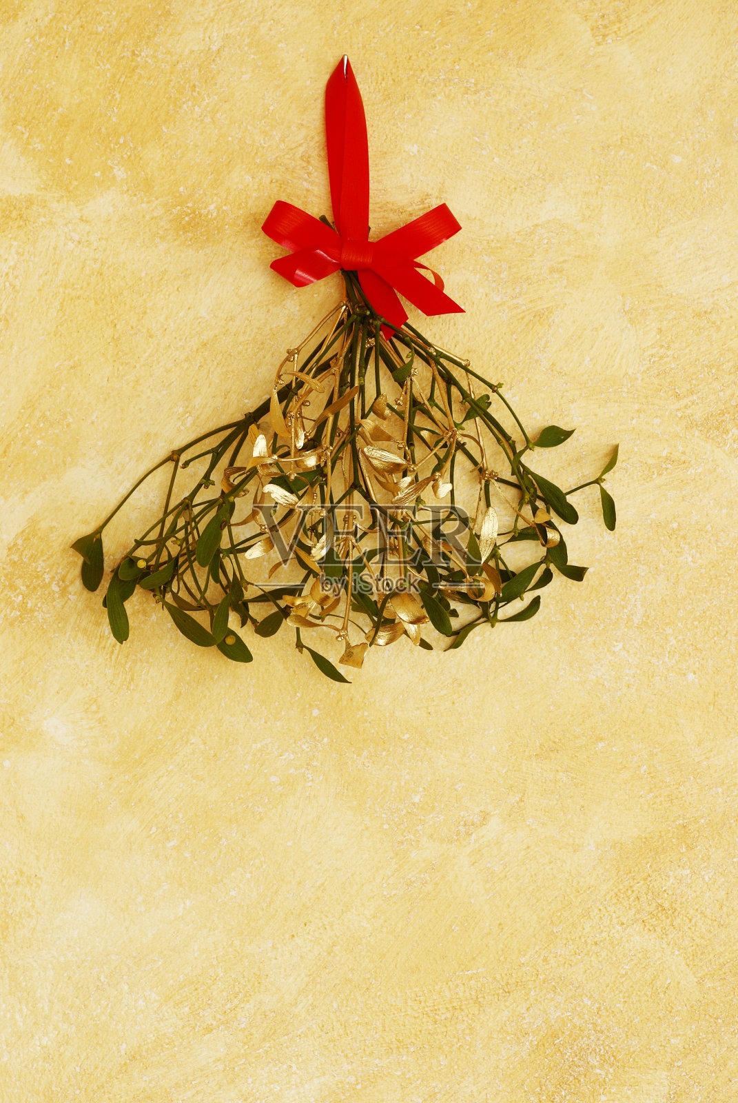 一些槲寄生照片摄影图片