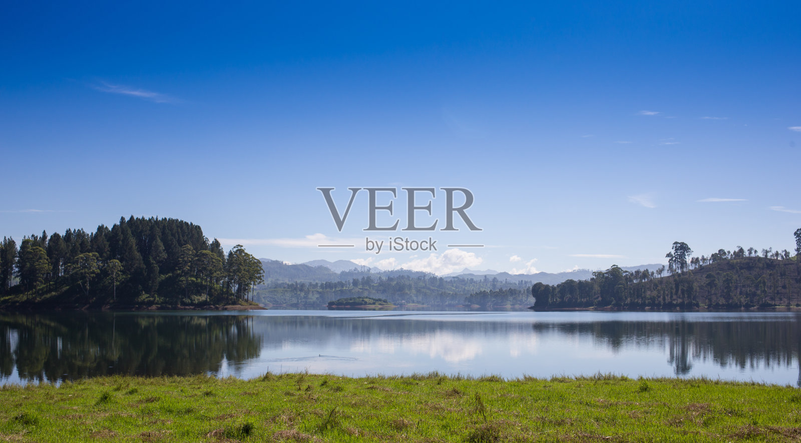 庞昂，倒影在湖中的松树照片摄影图片