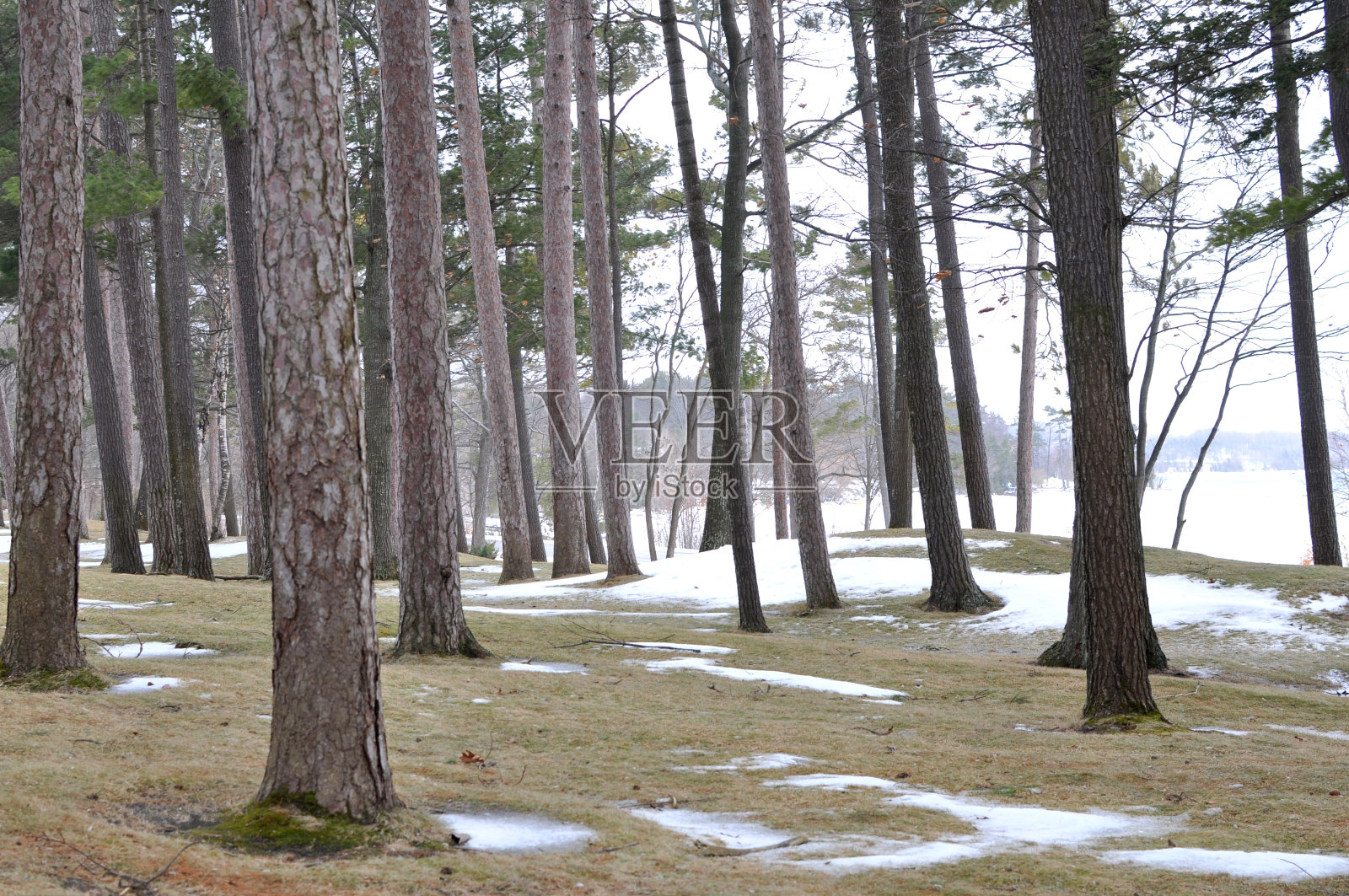 北密歇根冬去春来照片摄影图片