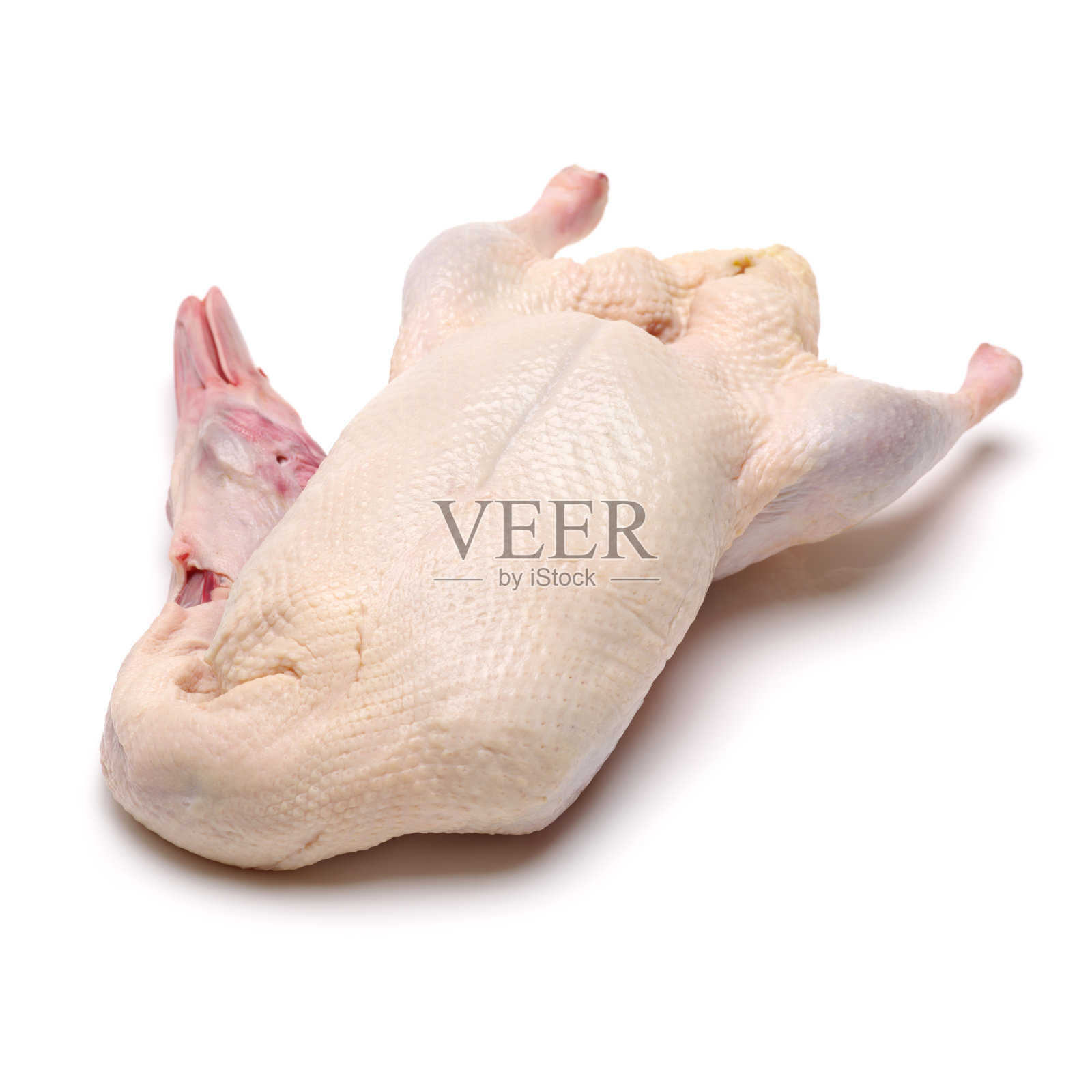 准备做鸭肉照片摄影图片