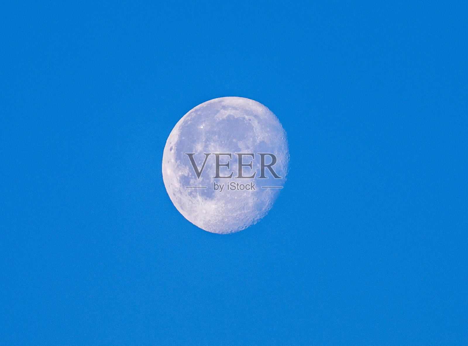 清晨的月亮照片摄影图片