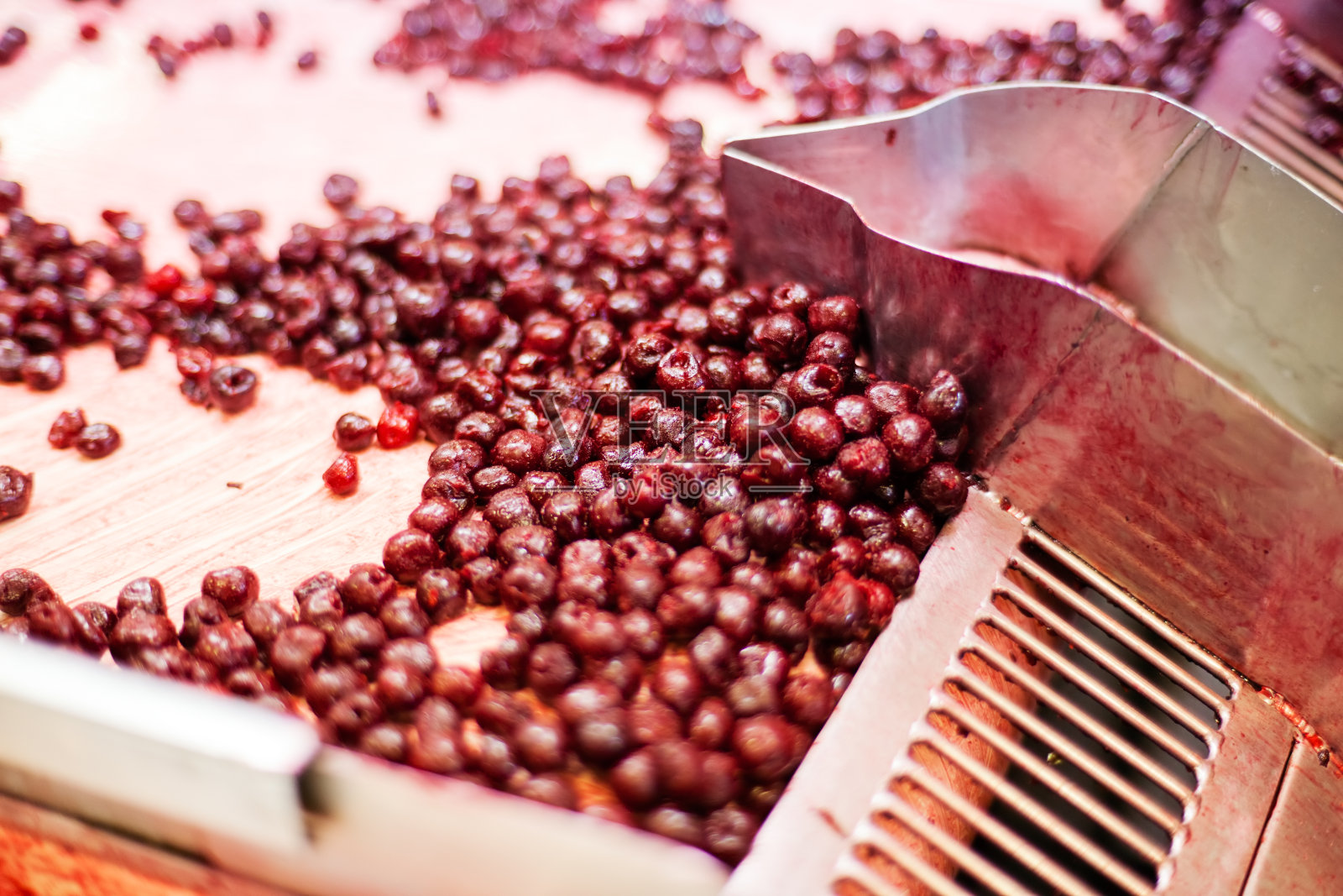 加工机里的酸樱桃照片摄影图片