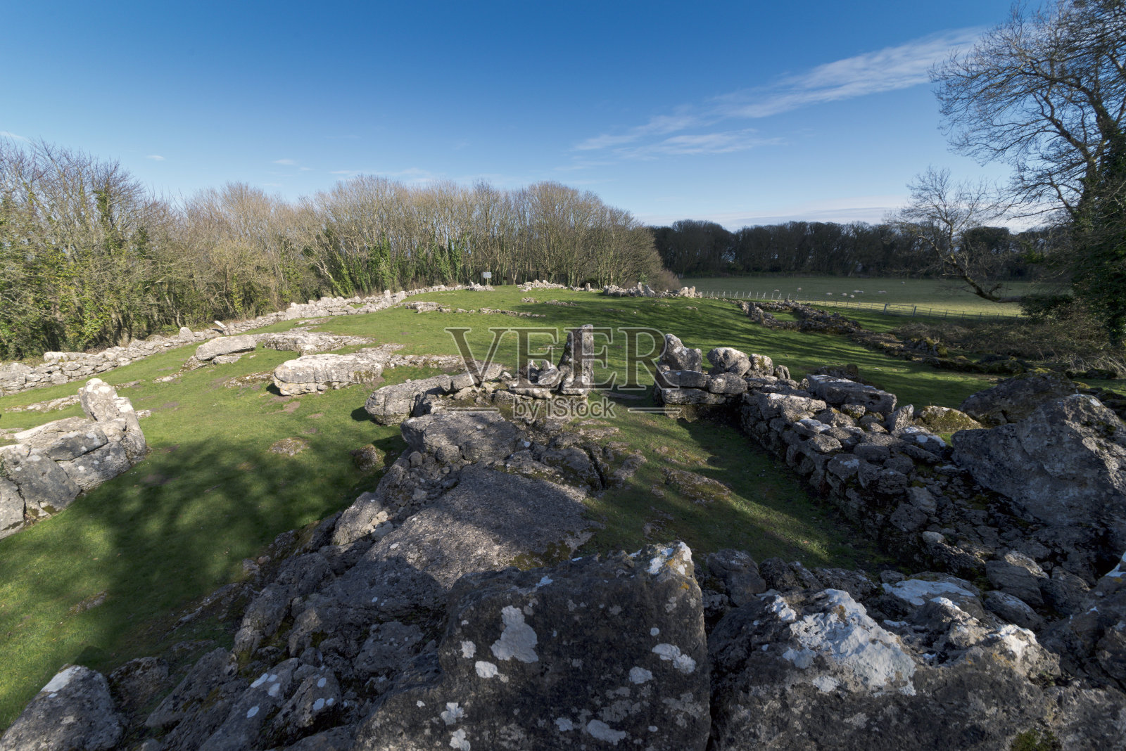 你的卢格威照片摄影图片
