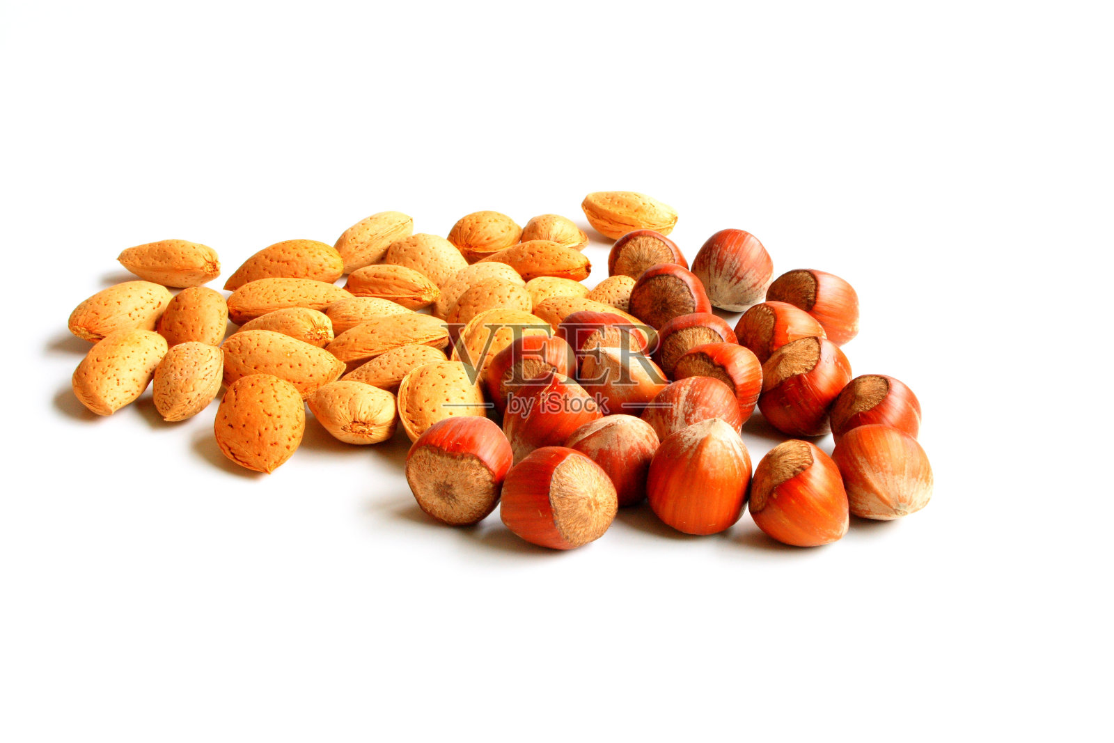 白色背景上分离出杏仁和榛子。照片摄影图片