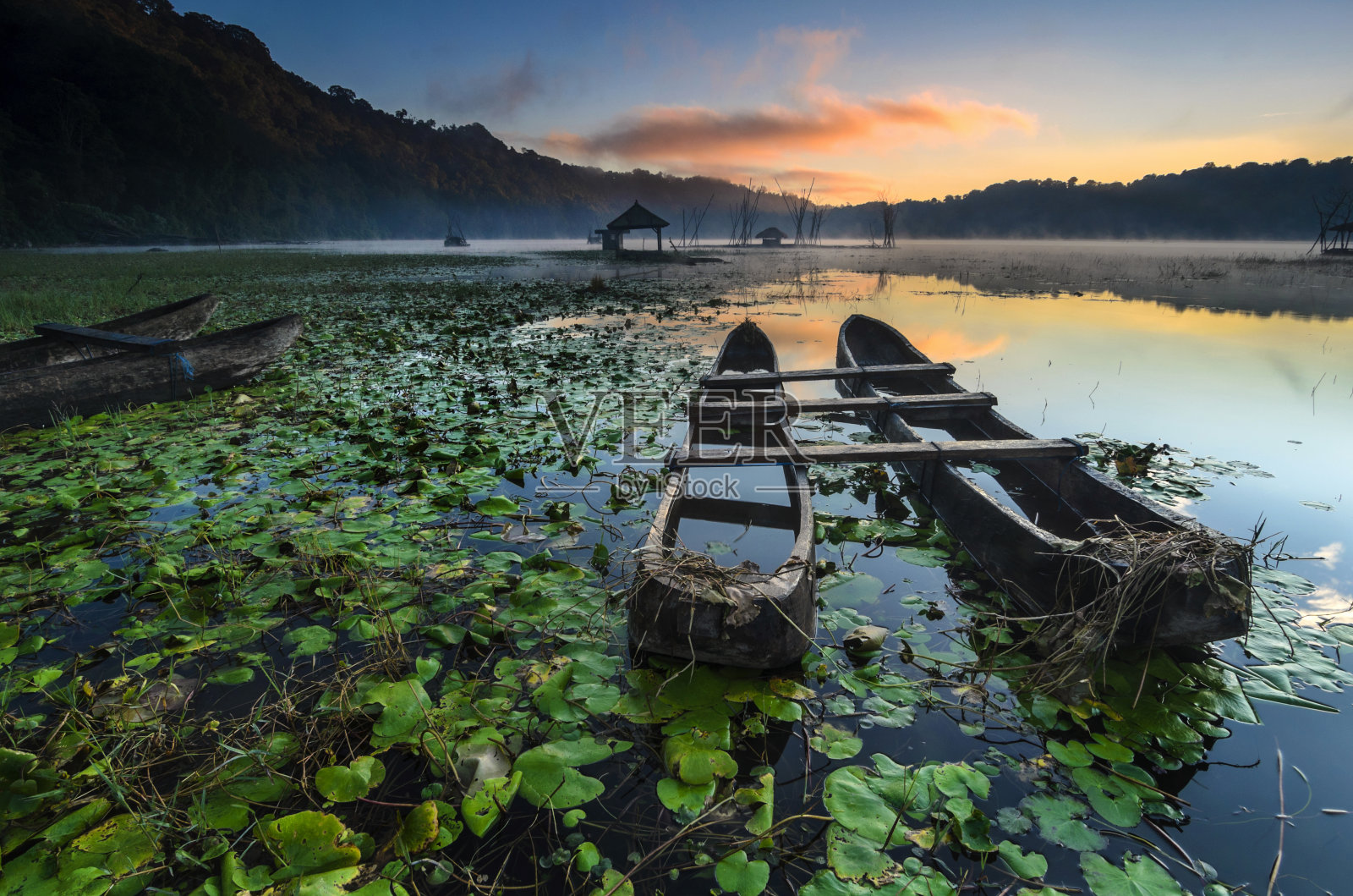 订婚了照片摄影图片