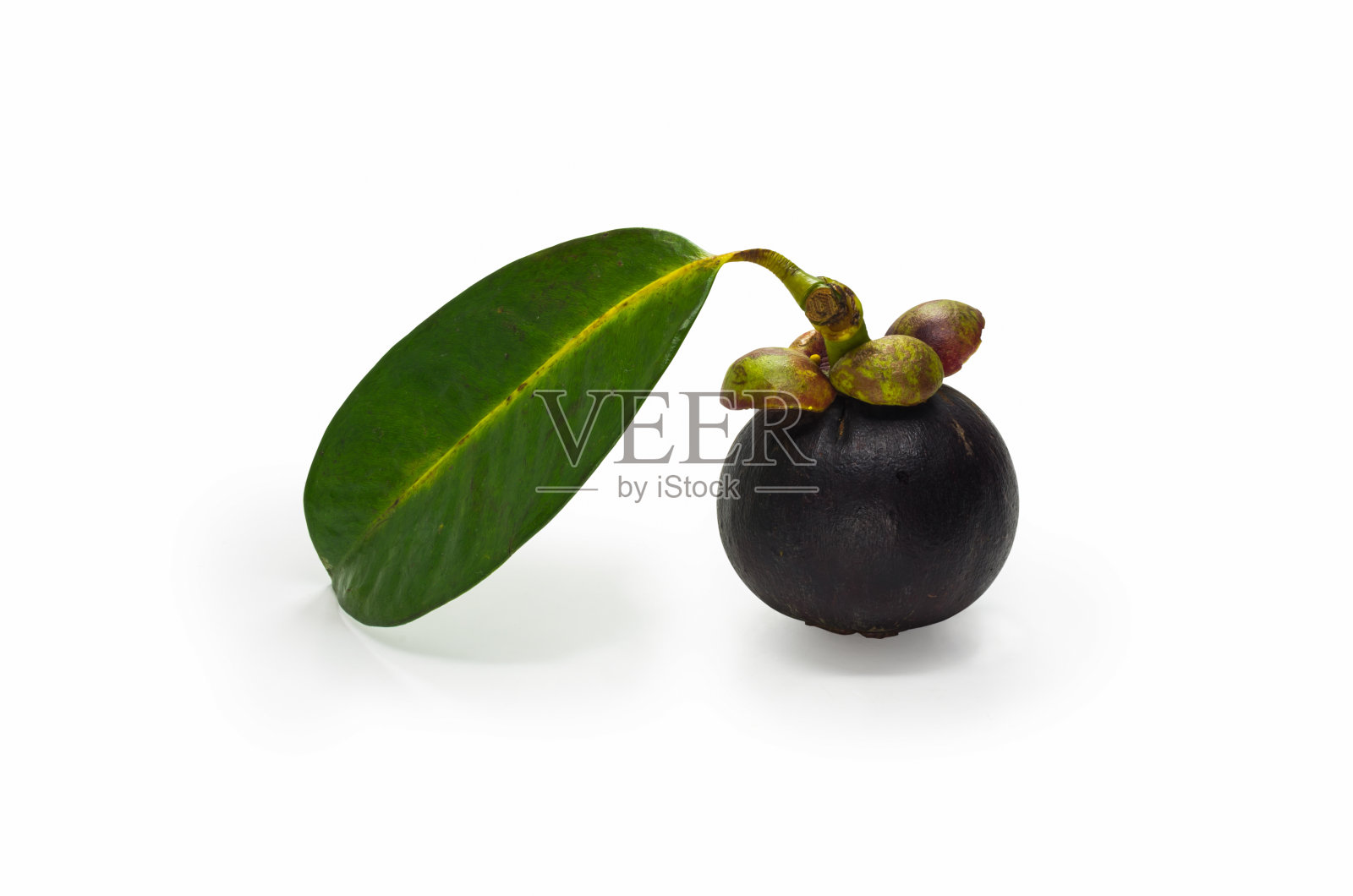 山竹果照片摄影图片