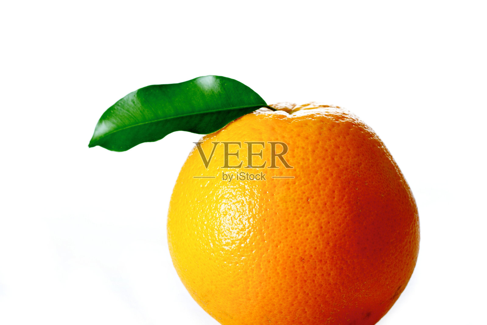 工作室拍摄的白色背景上的橙色照片摄影图片