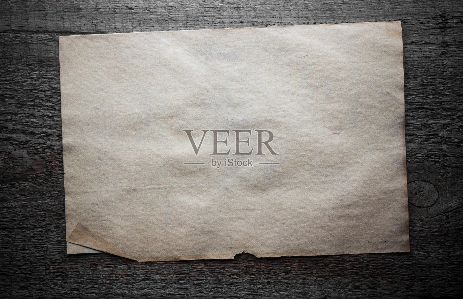 木本纸照片摄影图片