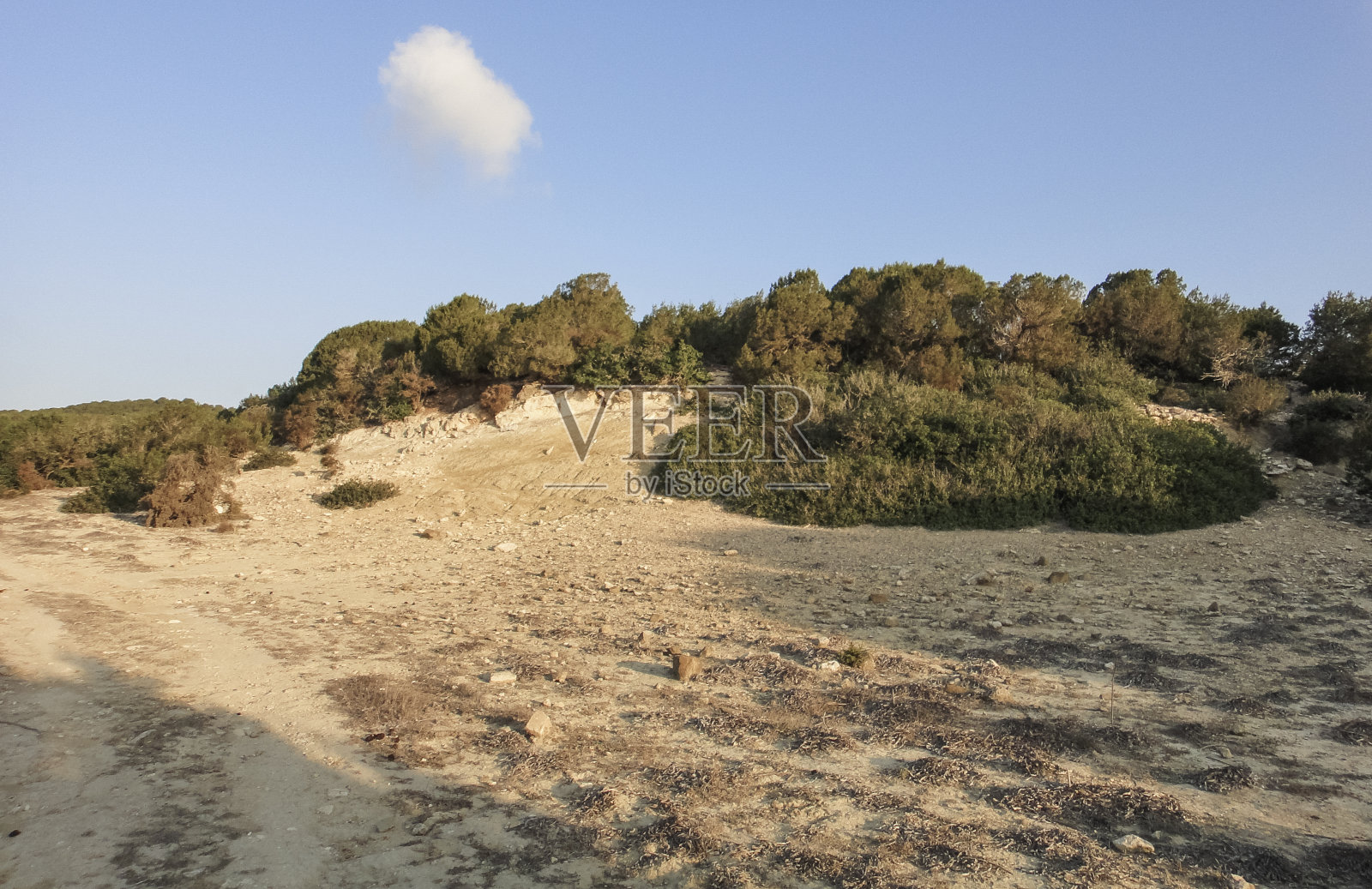 卡尔帕斯半岛自然（卡尔帕斯、迪普卡尔帕斯、里佐卡尔帕索、卡尔帕西亚）。北塞浦路斯照片摄影图片