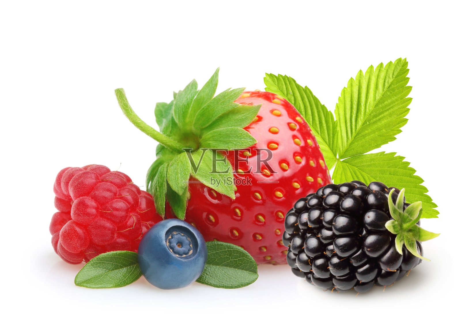 夏日浆果。照片摄影图片