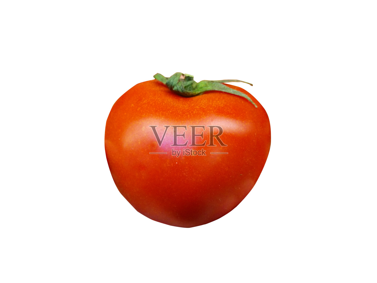 番茄照片摄影图片