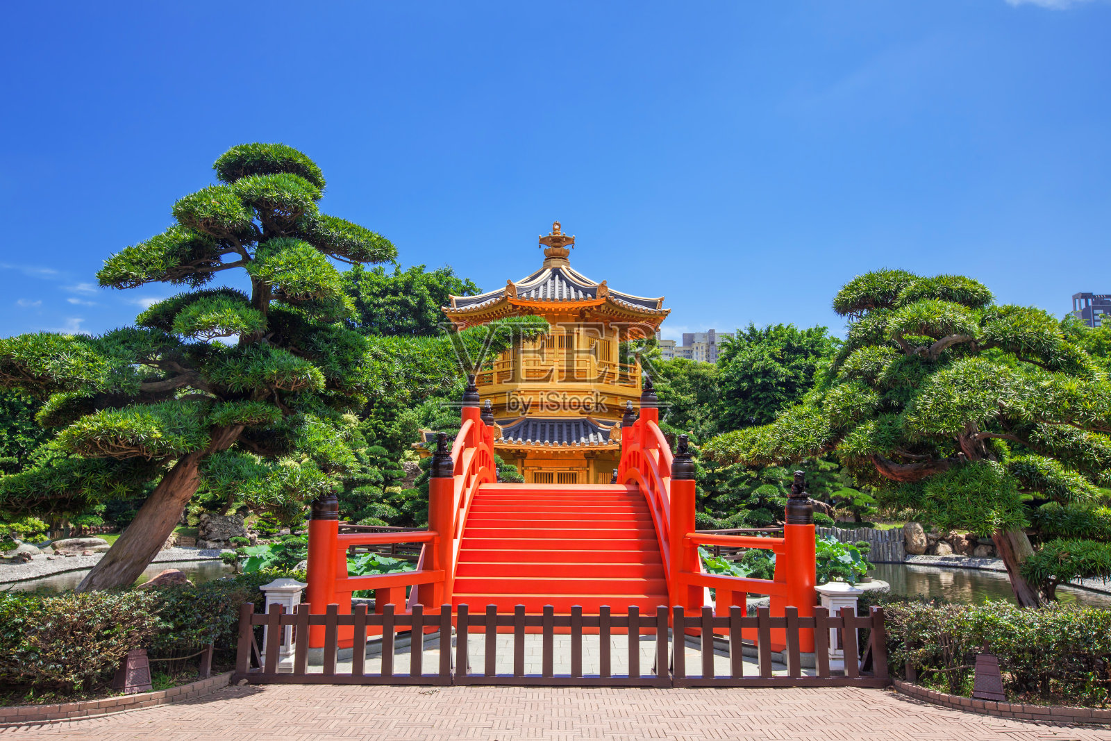 香港南莲花园的金色中国馆照片摄影图片