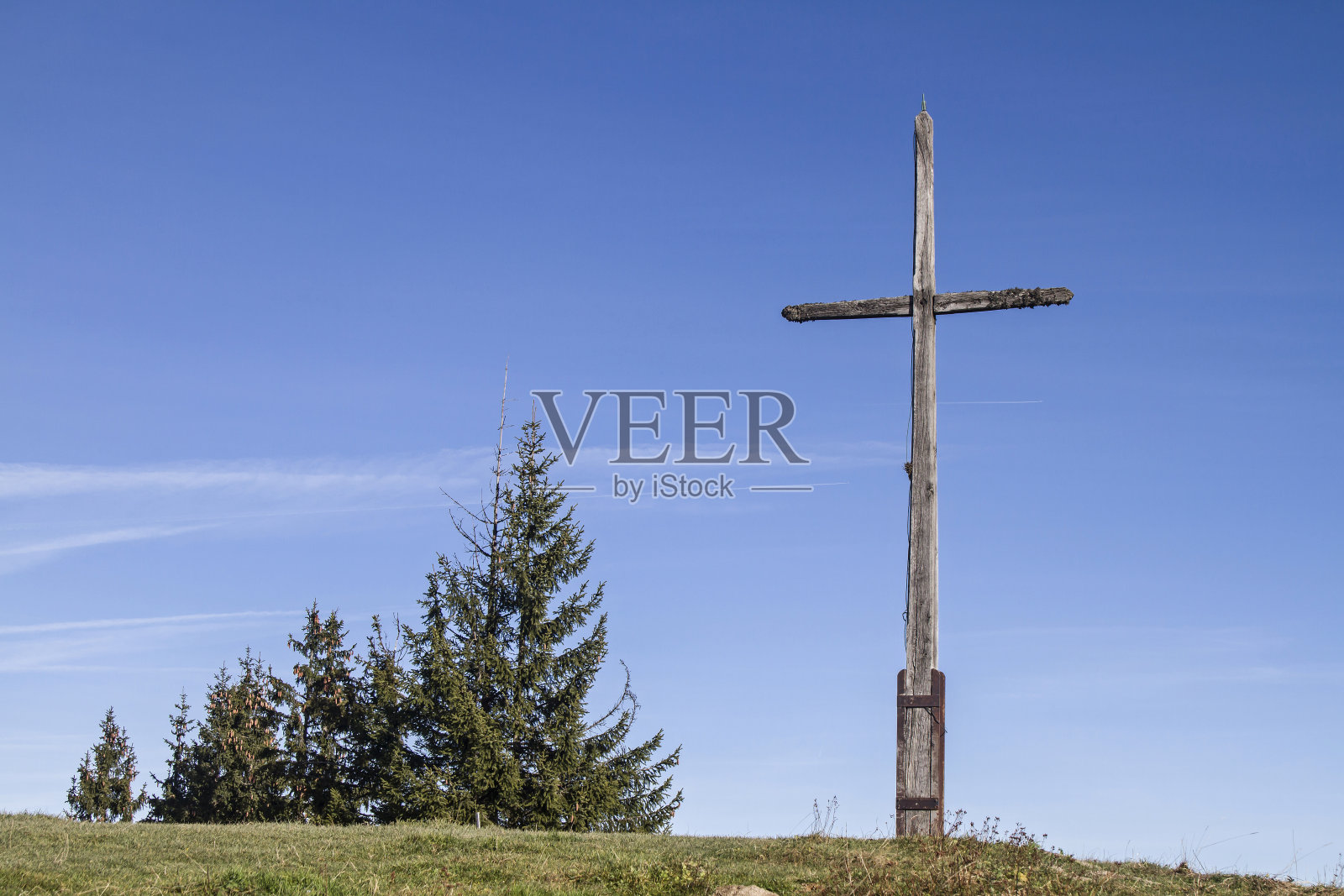 关于雷切尔科普夫照片摄影图片