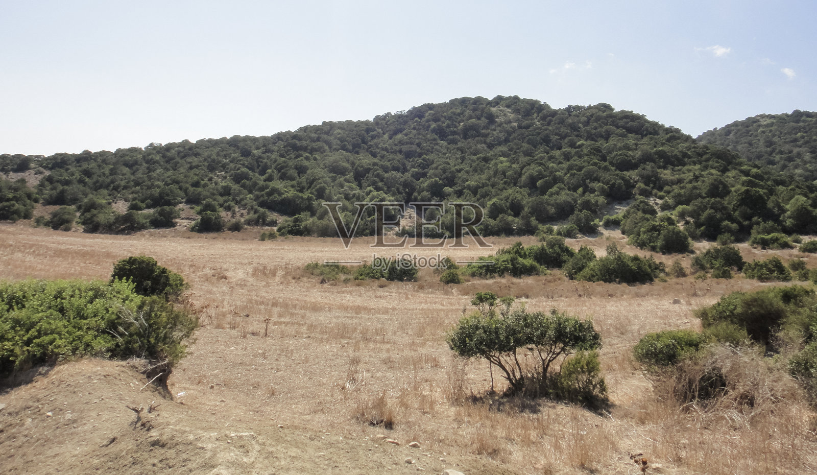 卡尔帕斯半岛自然（卡尔帕斯、迪普卡尔帕斯、里佐卡尔帕索、卡尔帕西亚）。北塞浦路斯照片摄影图片