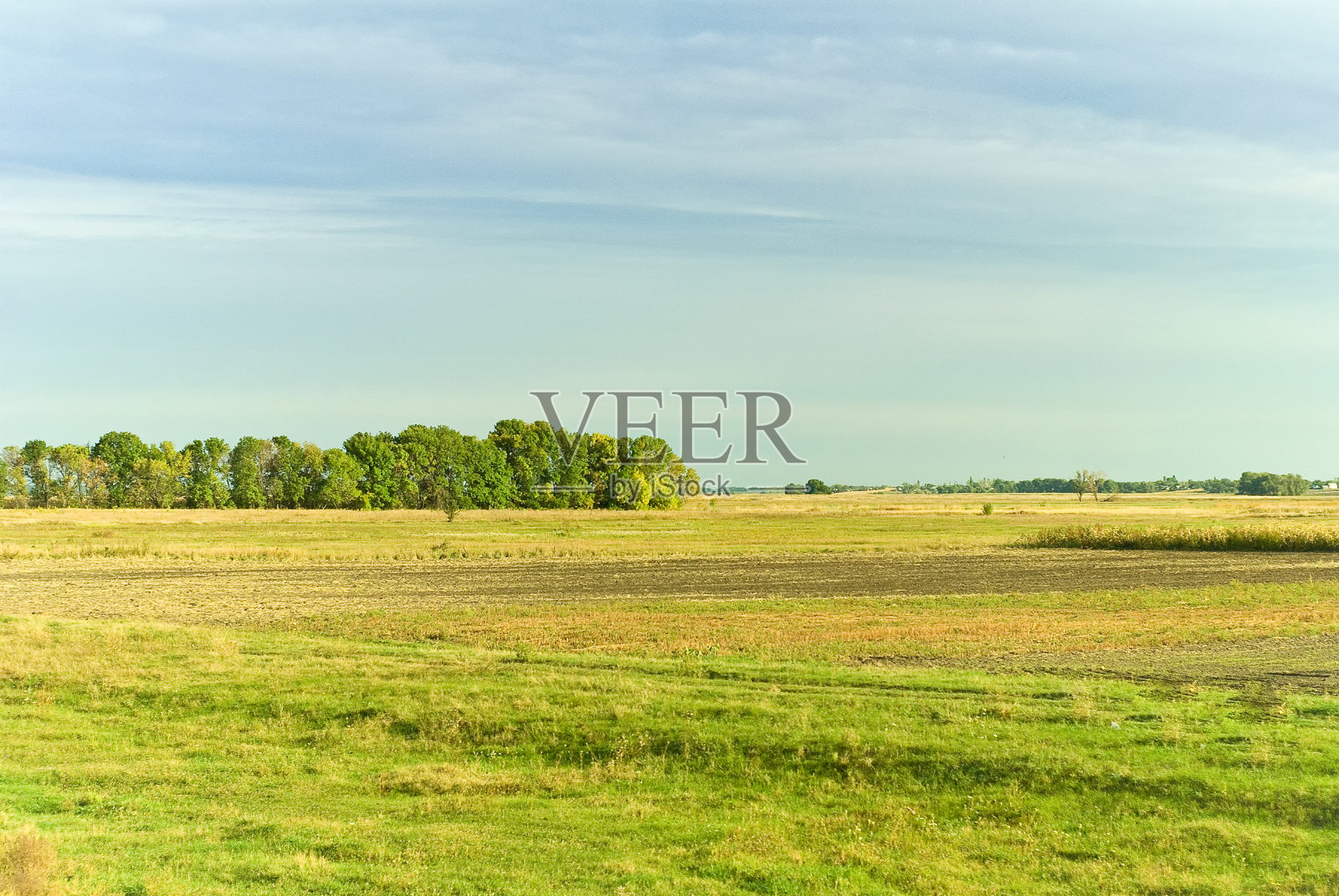 场收获照片摄影图片