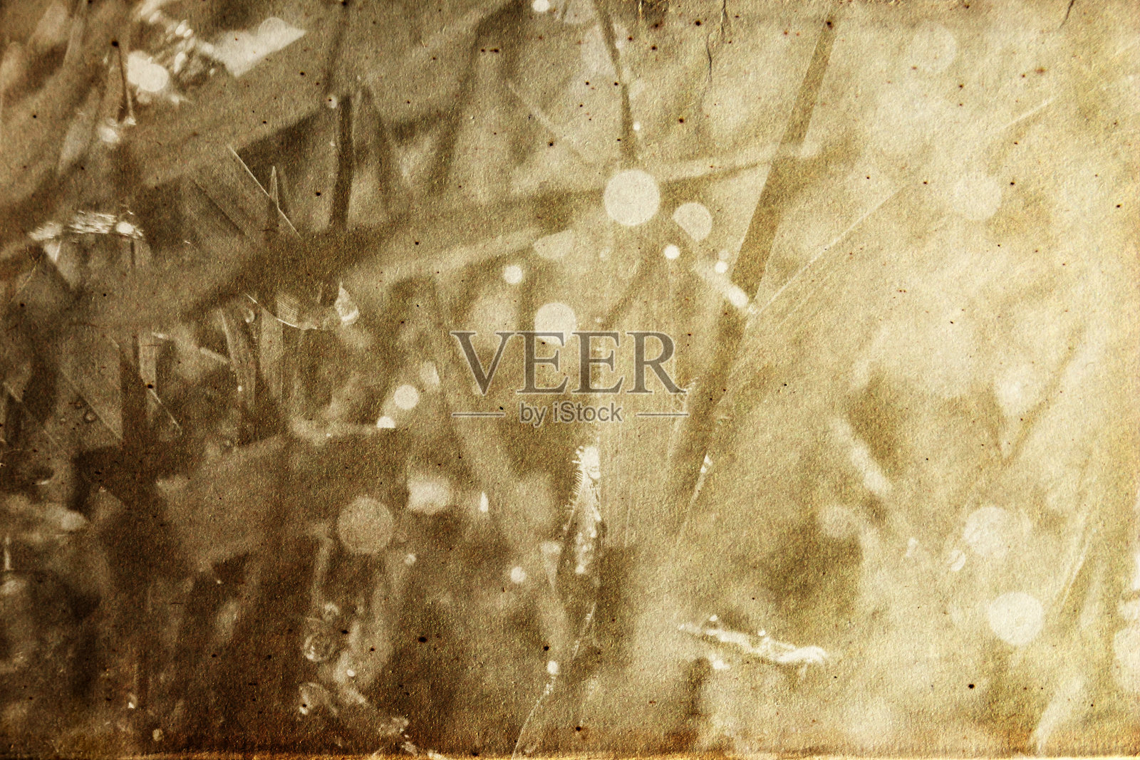 带花的纹理纸照片摄影图片