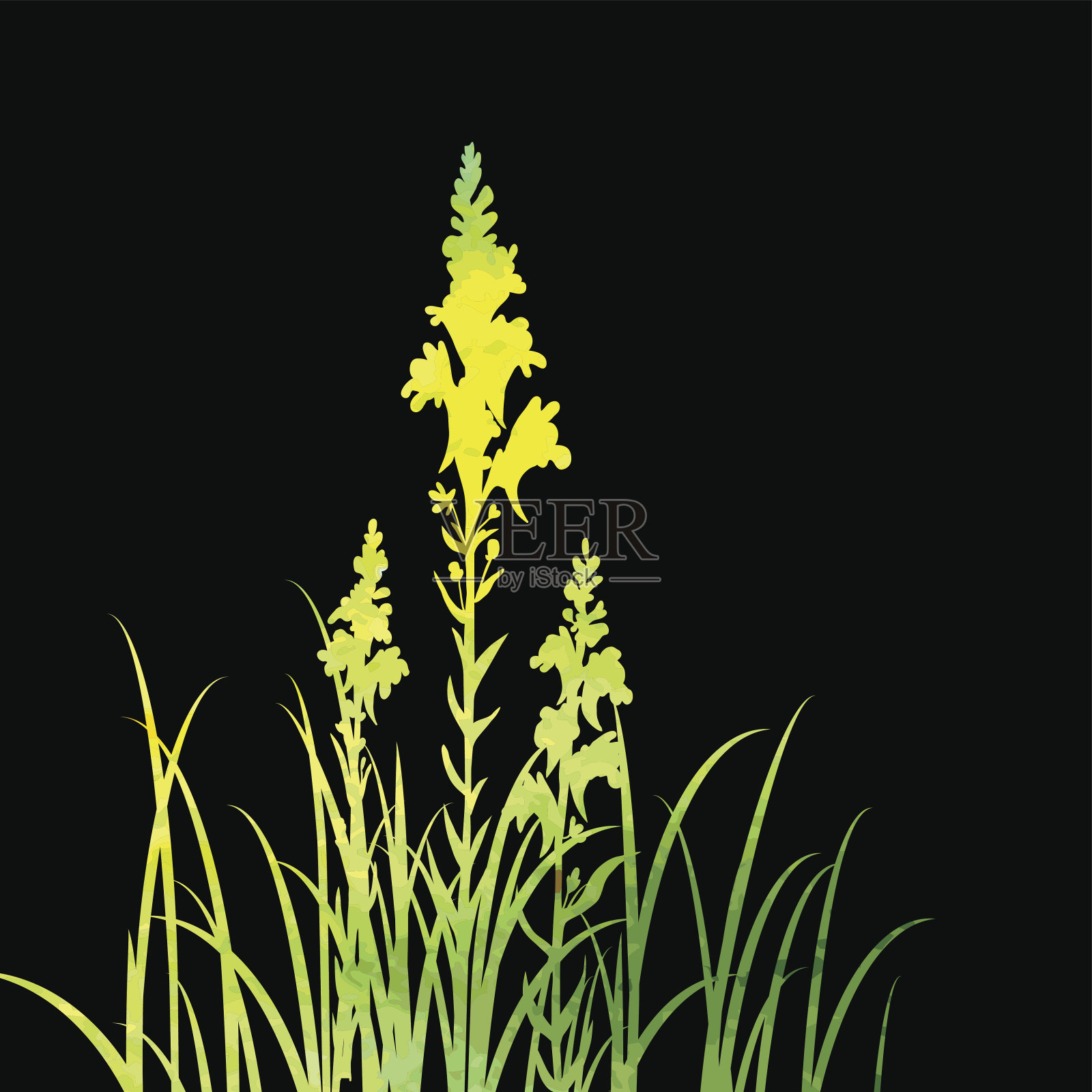 花朵和草的剪影插画图片素材