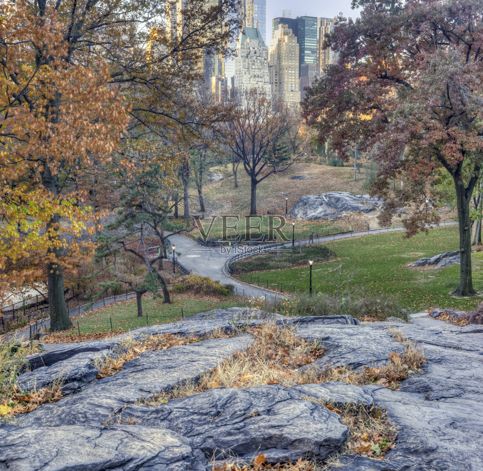 纽约中央公园照片摄影图片