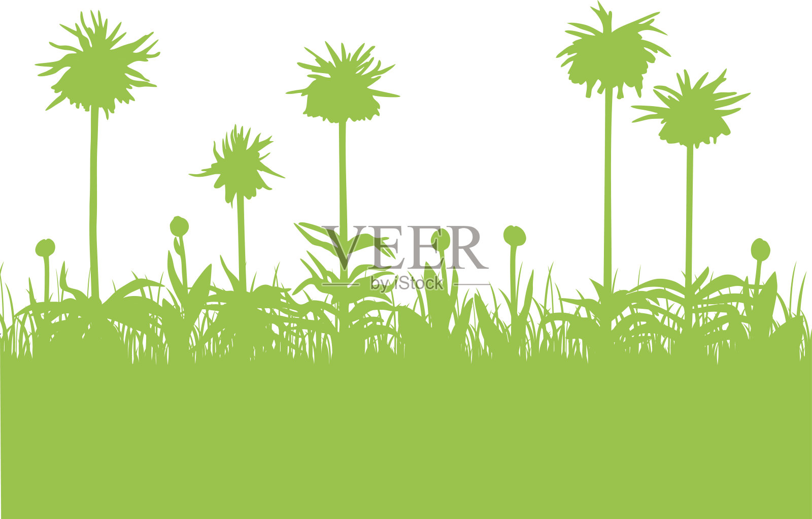 贝母和郁金香花蕾插画图片素材