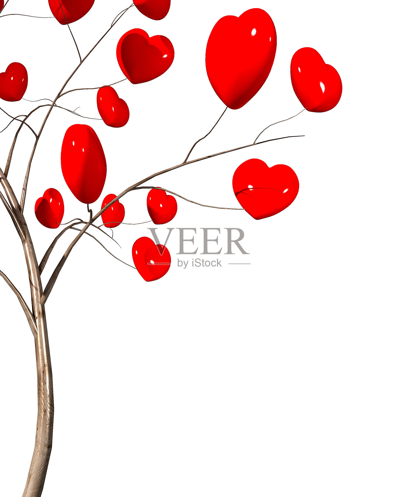 心树孤立在白色背景上照片摄影图片