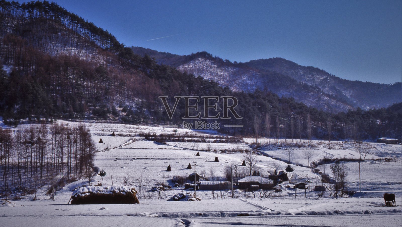 冬天的乡村风光照片摄影图片