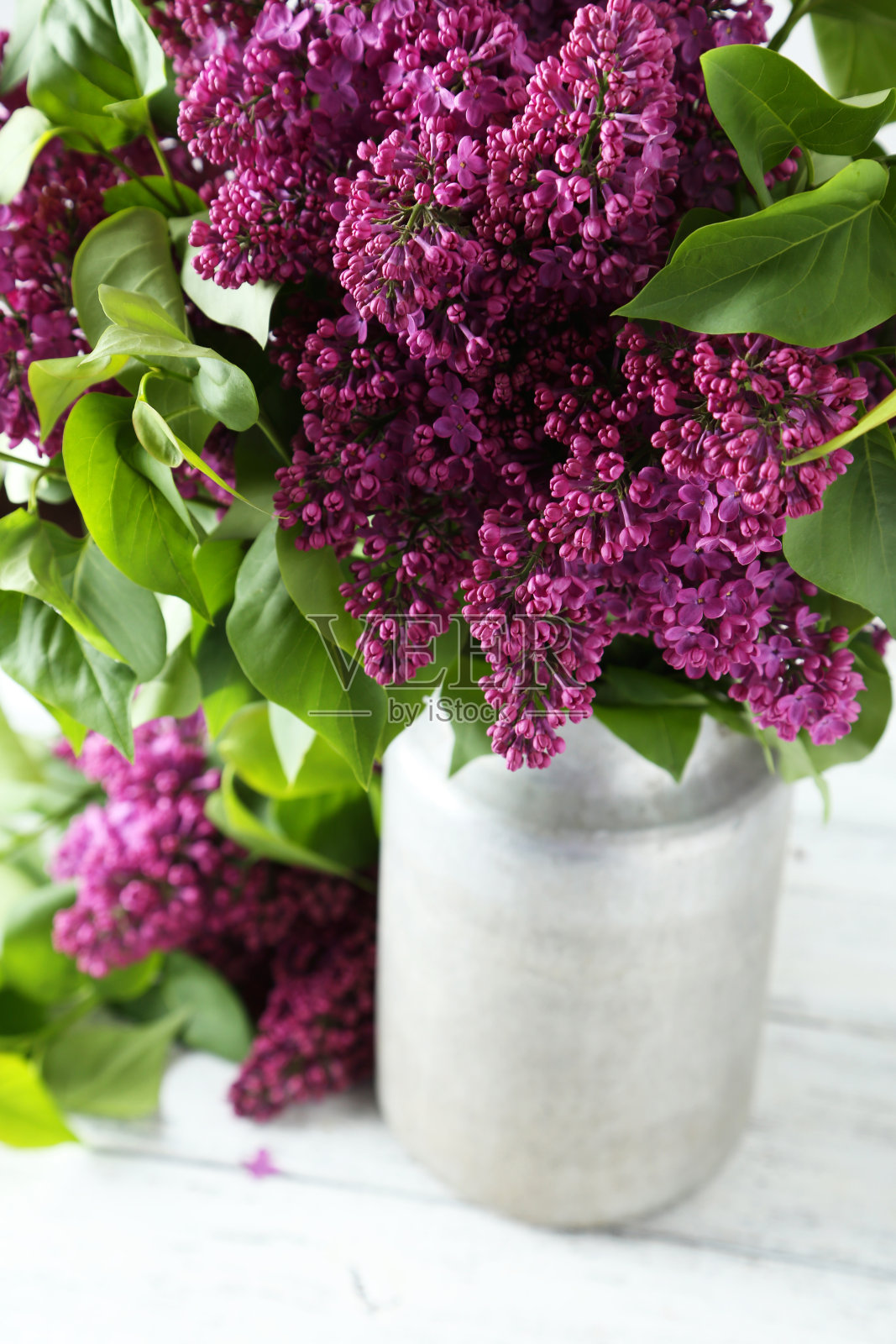 紫色的丁香花在喷壶上，白色的木制背景照片摄影图片