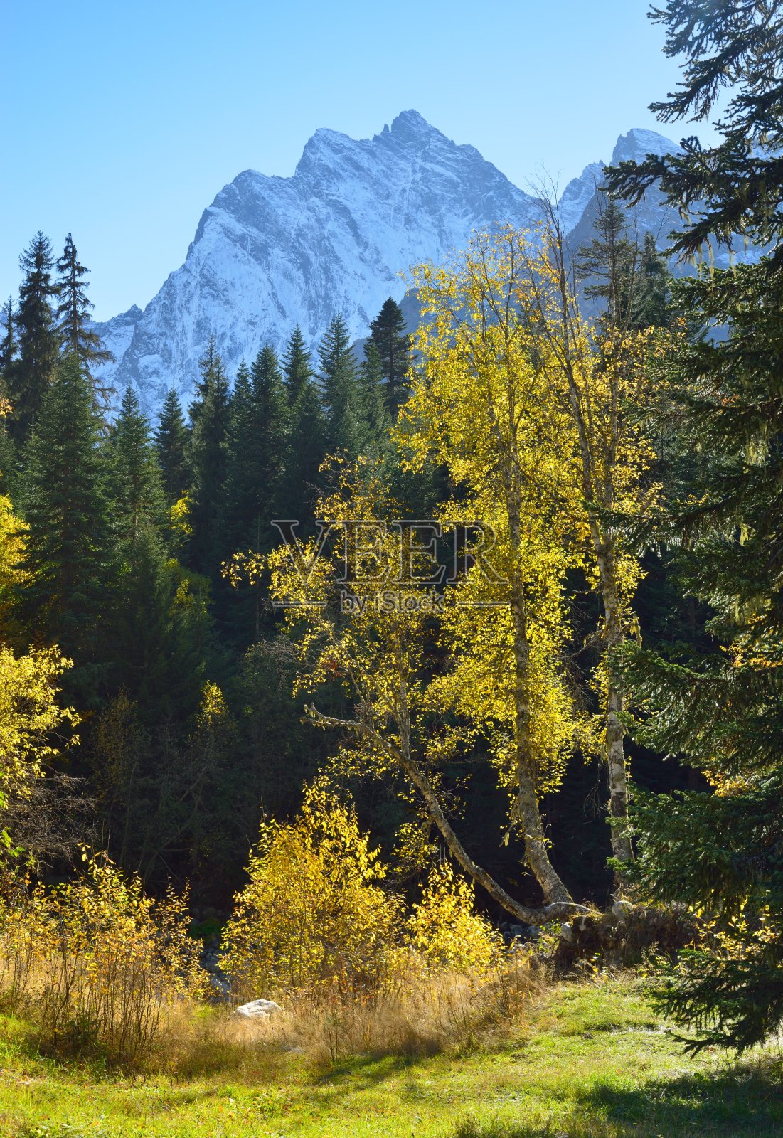 高加索地区的观点照片摄影图片