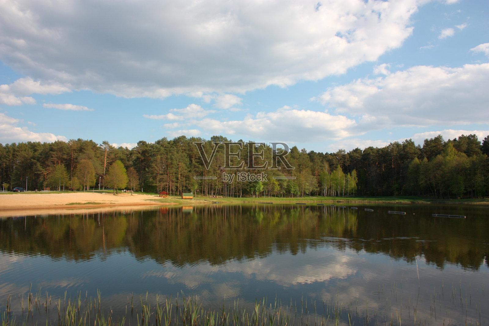 公园里的池塘。Druskininkai,立陶宛照片摄影图片