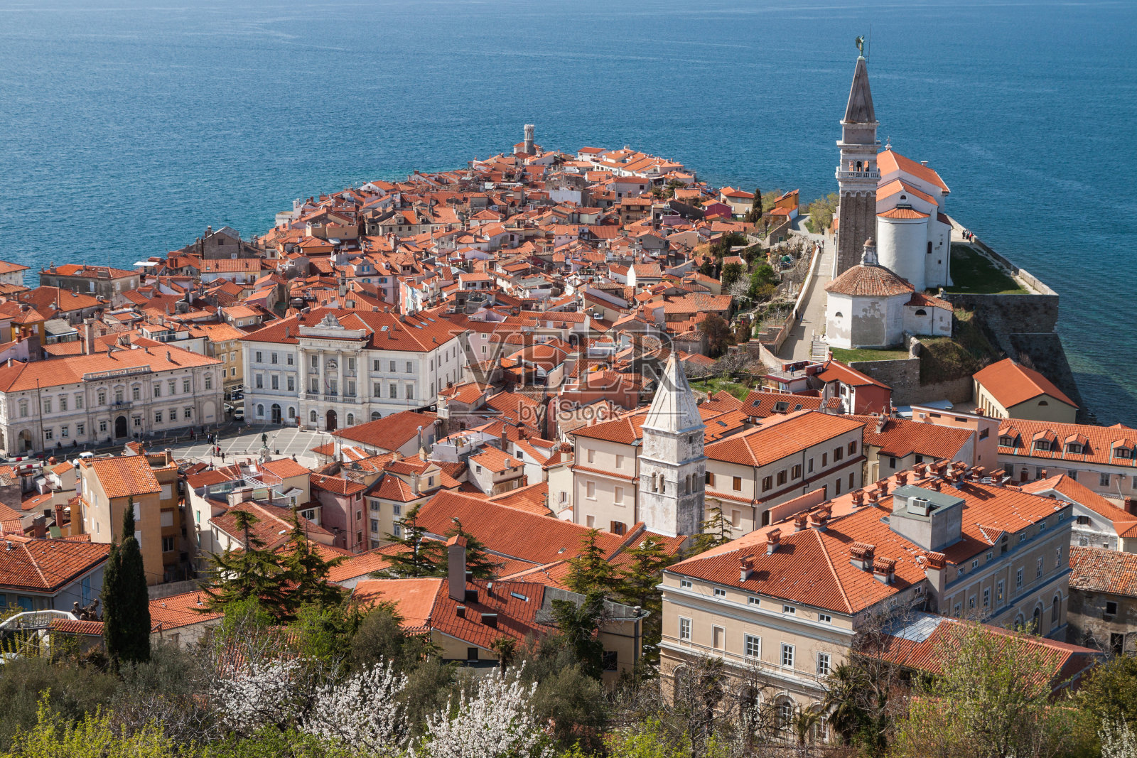 斯洛文尼亚春天海滨小镇皮兰的风景照片摄影图片