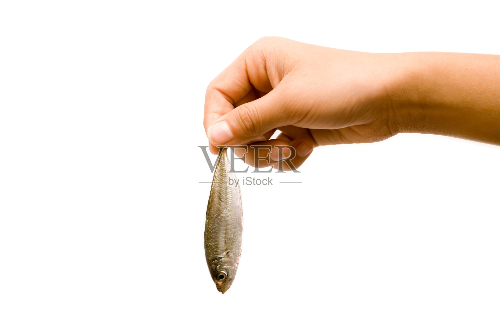 手握小个子照片摄影图片