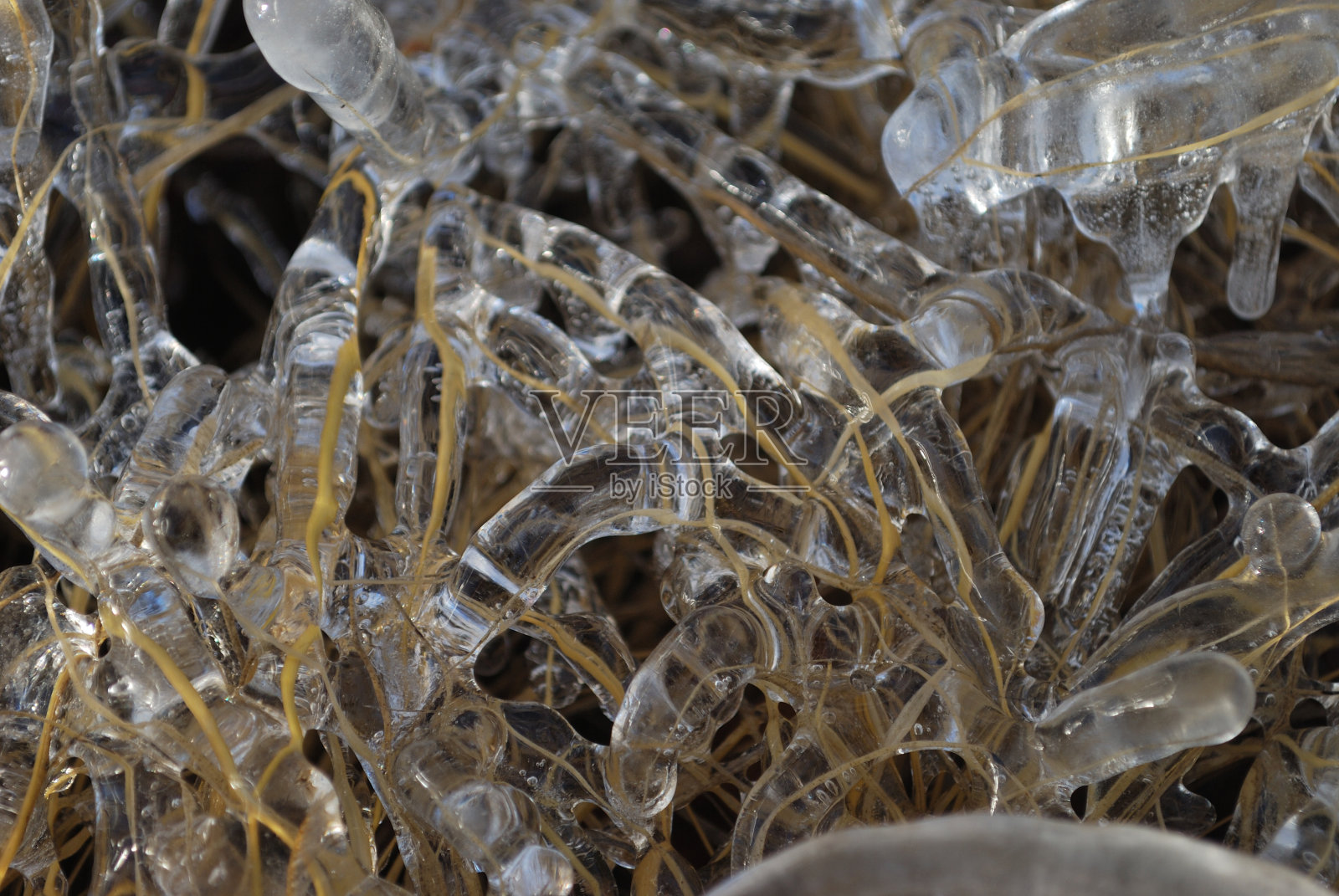 冰覆盖的死草照片摄影图片