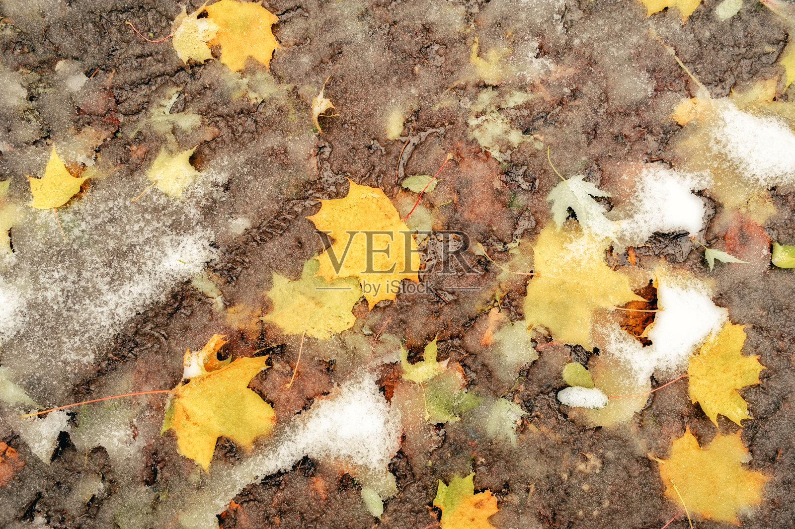 满是落叶和雪的泥泞地面照片摄影图片