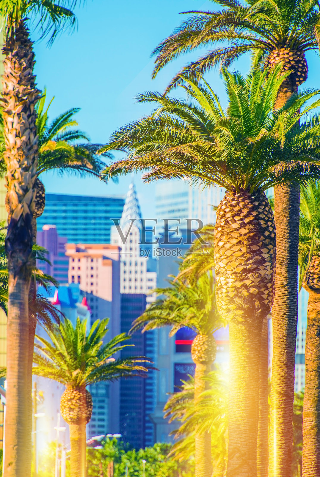 拉斯维加斯大道风光照片摄影图片