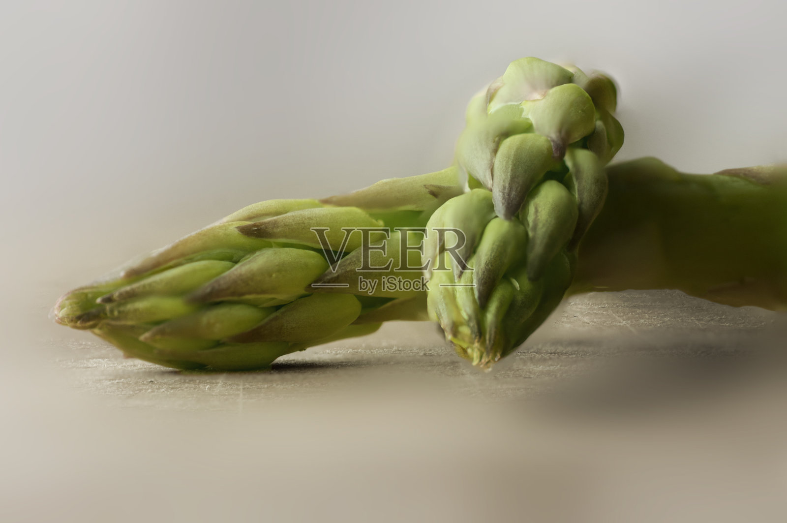 芦笋照片摄影图片