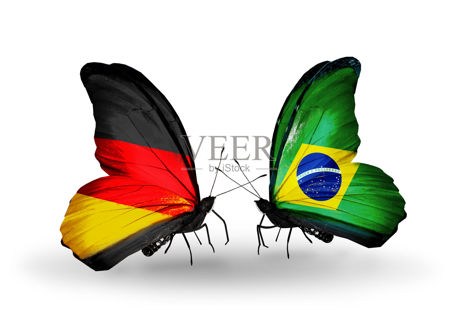 两只翅膀上插着旗子的蝴蝶照片摄影图片