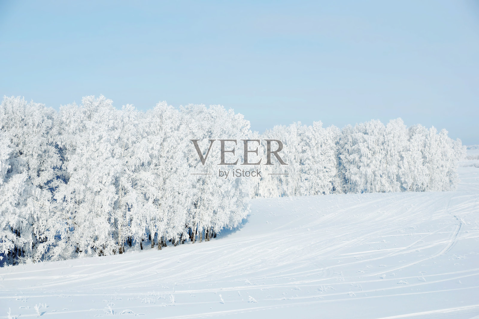 美丽的冬季景观与积雪的树木照片摄影图片