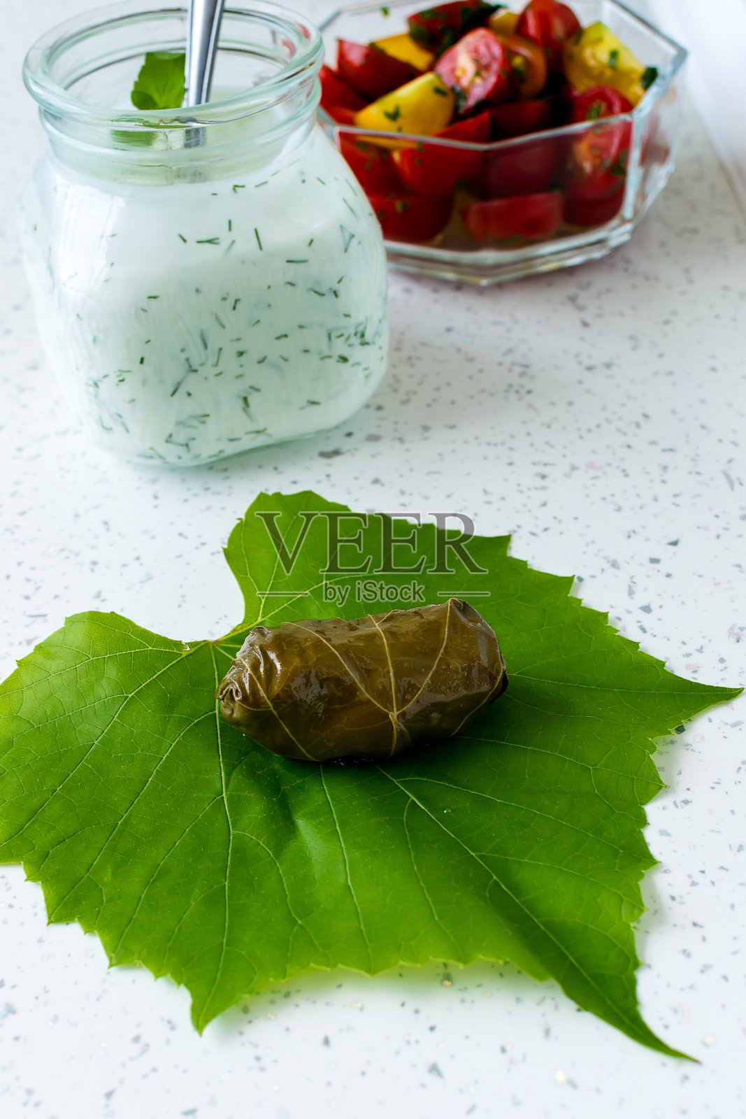 葡萄树树叶标本照片摄影图片