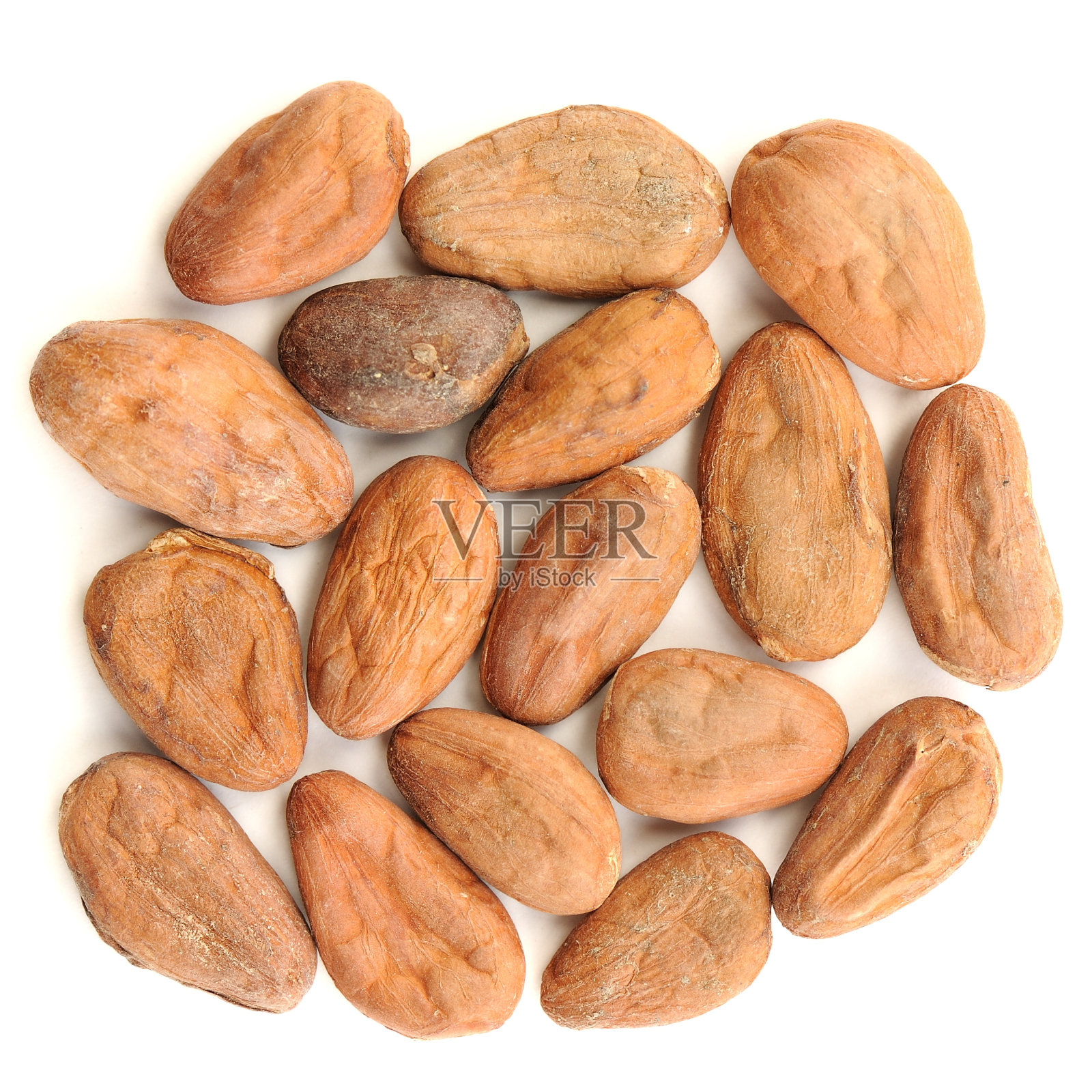 分离成方形的生可可豆照片摄影图片