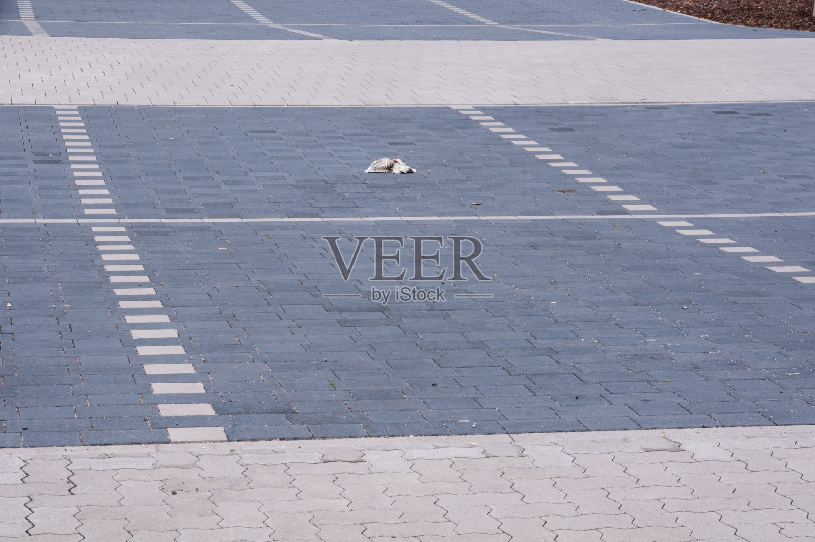 旧报纸在一个停车场里照片摄影图片