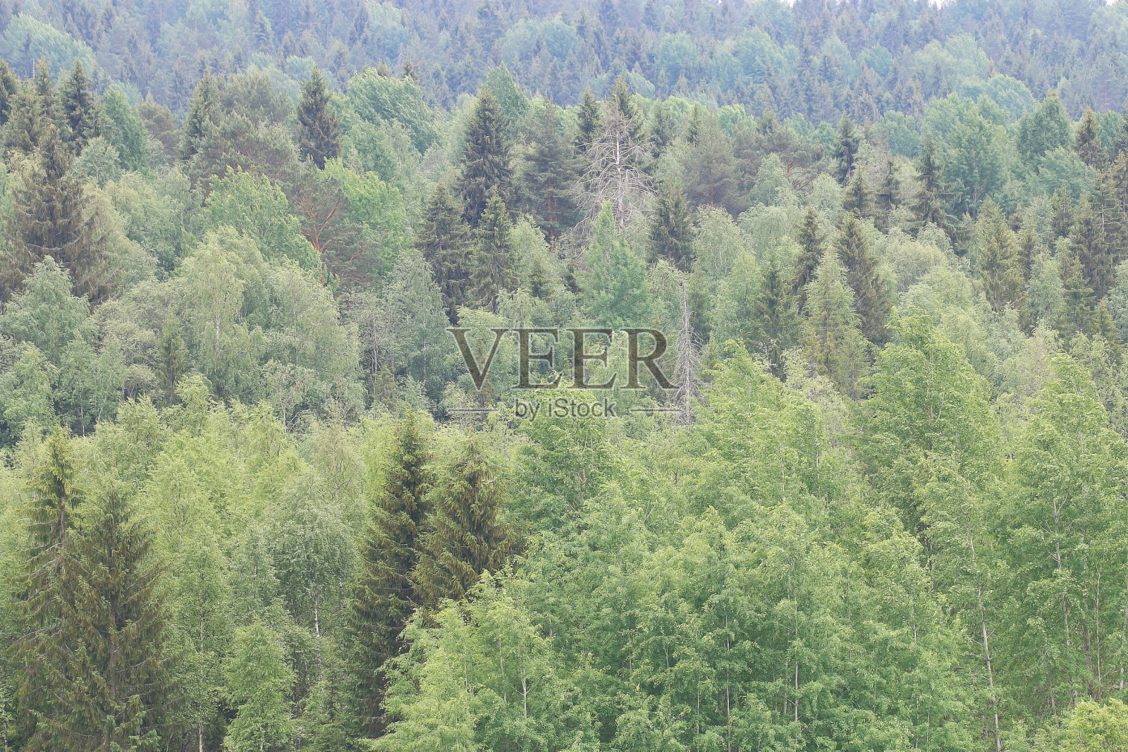 山景在薄雾的地平线上照片摄影图片