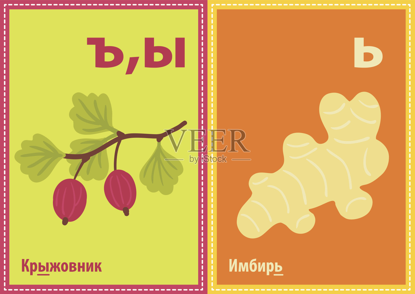 矢量教育卡片与西里尔字母在A5格式插画图片素材