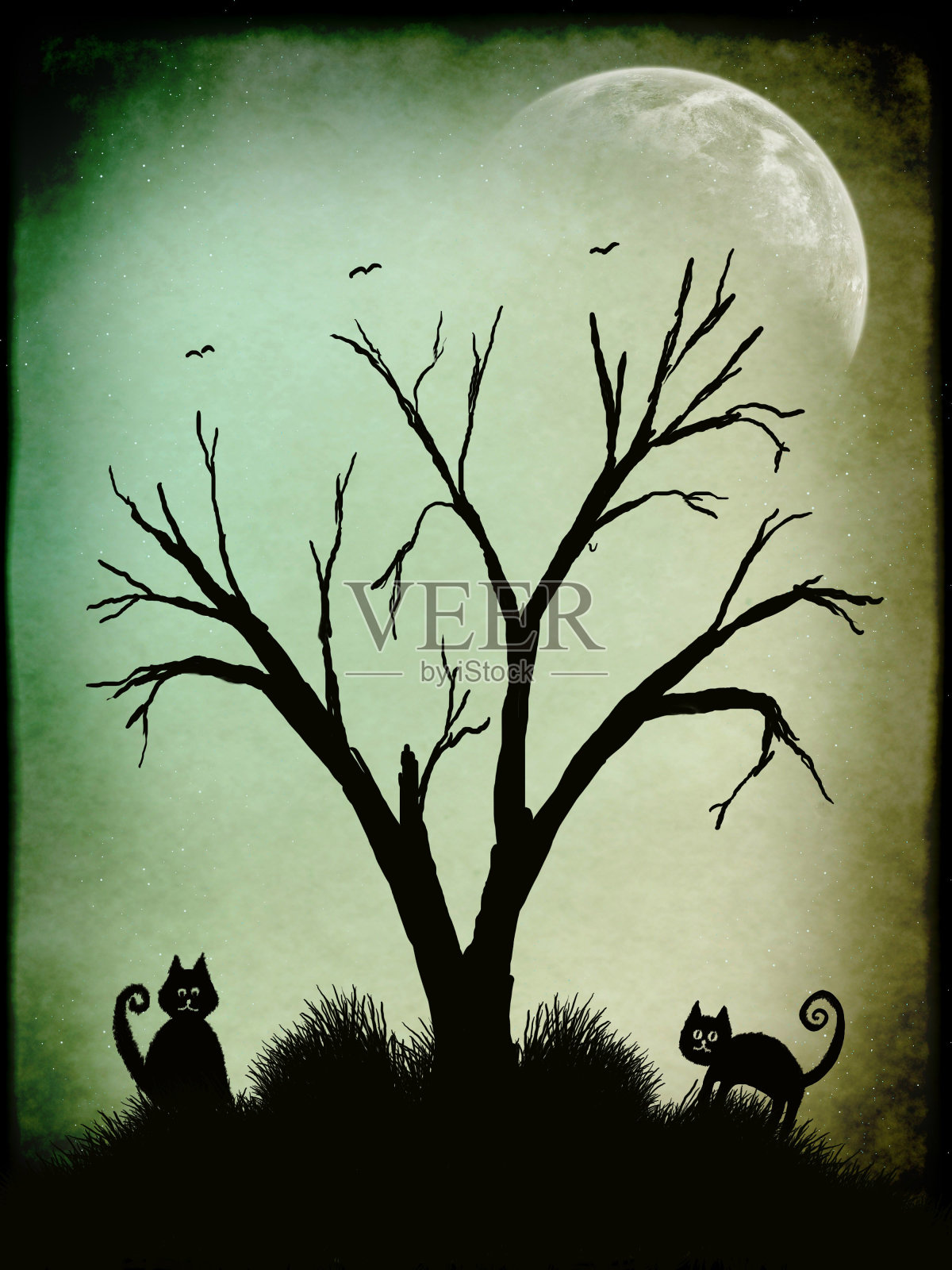 轮廓照片摄影图片