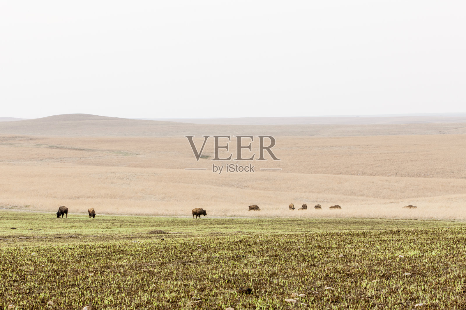 燧石山集体照片摄影图片