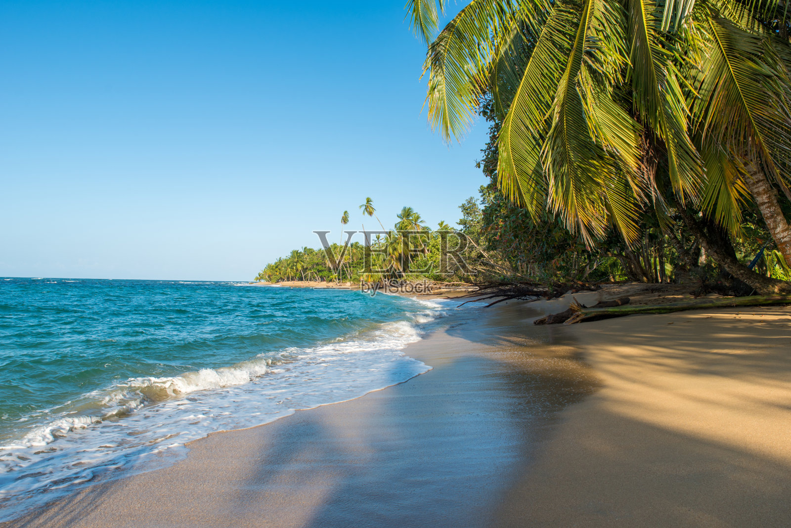 哥斯达黎加的蓬塔乌瓦海滩，加勒比海海岸照片摄影图片