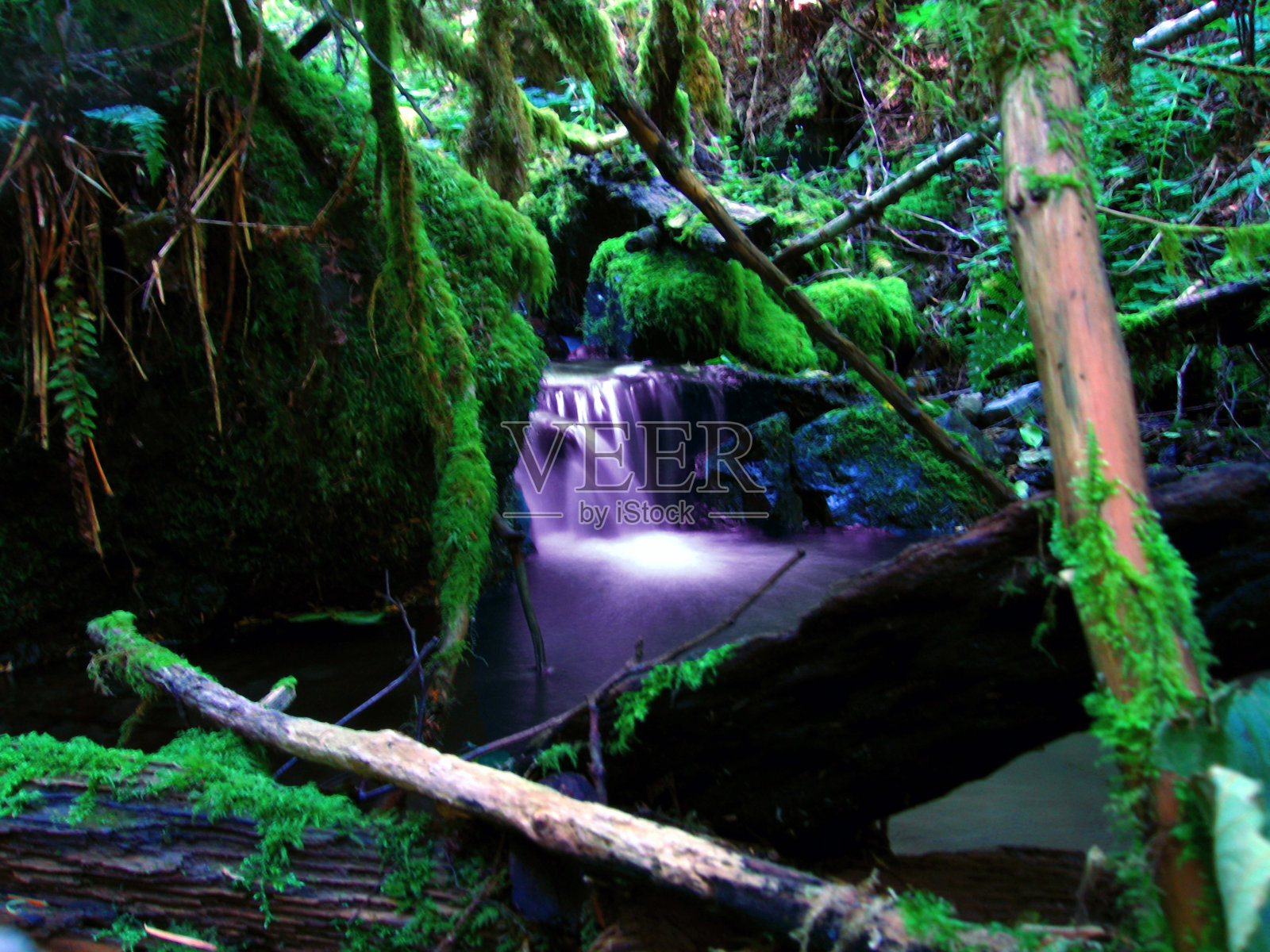 瀑布1照片摄影图片