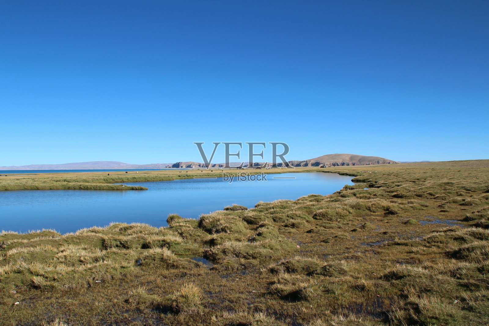 西藏纳木措附近美丽的草原照片摄影图片