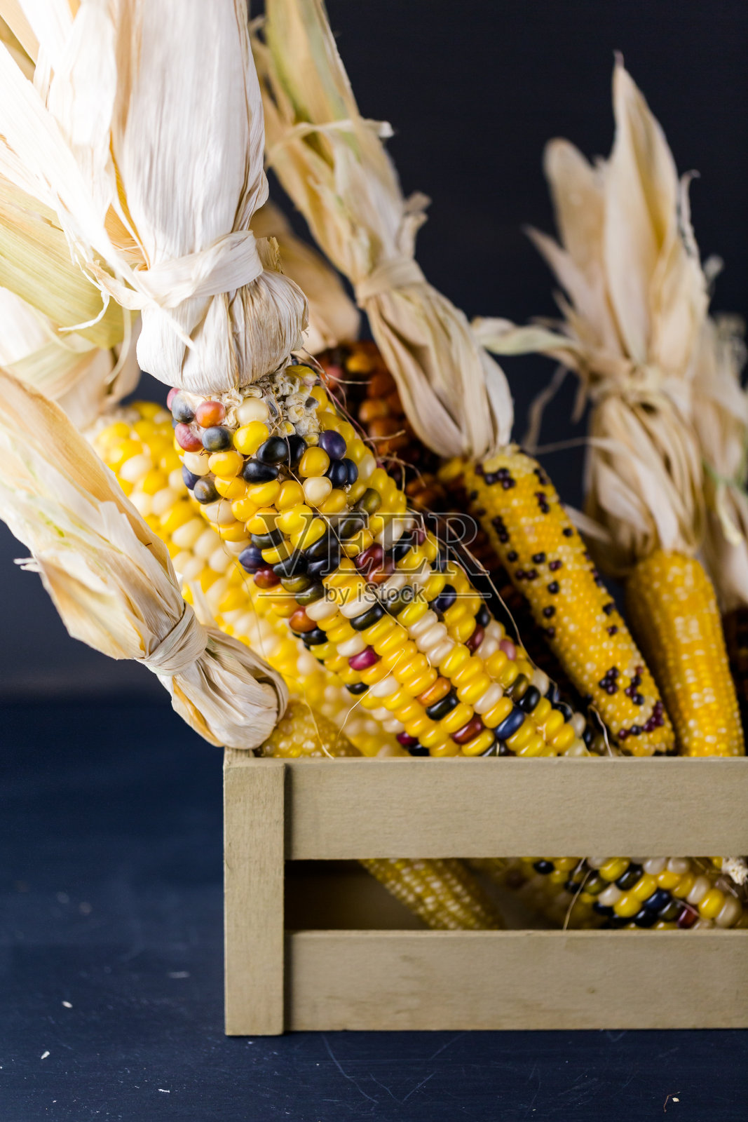 弗林特玉米照片摄影图片